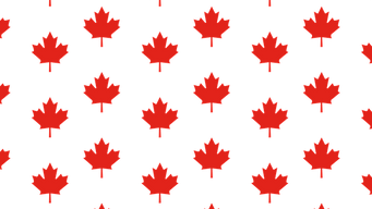 Canadian Privacy Commissioner Launches AI Consultation