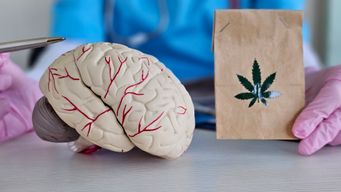 President Trump Signs Executive Order to Reclassify Cannabis