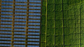 Why Solar Lease Acreage — and Rent — Often Change Before Construction