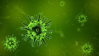 Chile sees Covid surge despite vaccination success