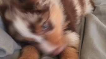 video post