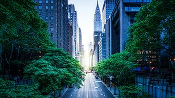 Board Memo 2022: Sustainability and Beyond