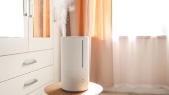 CPSC Emphasizes Priorities at ICPHSO Annual Meeting