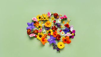 October 10 - World Mental Health Day