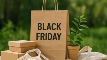 Making Black Friday More Sustainable