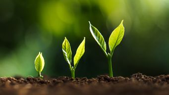 The Long Game: Building Sustainable Growth in a Quick-Win Culture 🚀