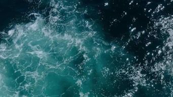 Cutting-Edge Facility Generates Pure Water and Hydrogen Fuel from Seawater for Mere Pennies