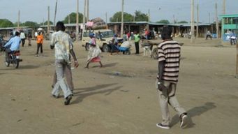 Town on the Banks of the Nile Turns Flooding into Fortune