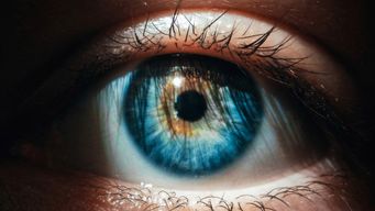 Scientists Think They’ve Discovered How Humans Could Recover Lost Vision