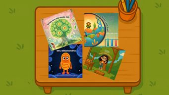 Where Curiosity Comes to Play - Courtsy’s Classroom