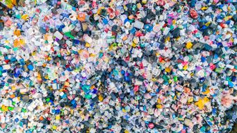 The Blueprint for Success: Prof. Richard Thompson on Tackling Global Plastic Pollution From A Design Perspective