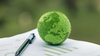 How Bold Brands Are Lighting the Path to a More Sustainable Tomorrow