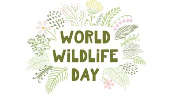 Honoring Wildlife on March 3 and Every Day