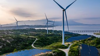 The role of renewable energy in achieving sustainability
