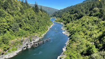 The Scientist Who Taught Us to Read a River