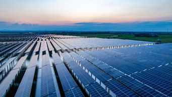 Could solar panels help strengthen global food security?