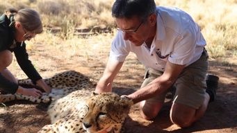 Satellites That Can Detect Animal Panic From Space