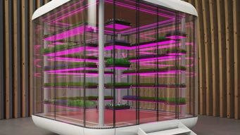 First serially produced walk-in climate greenhouse