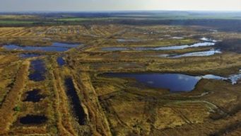 PEAT BAN ANNOUNCED IN ENGLAND