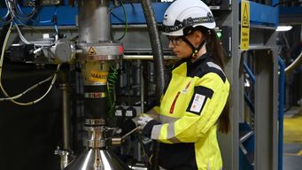 Batteries that come from trees