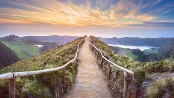 Should we put a price on nature?