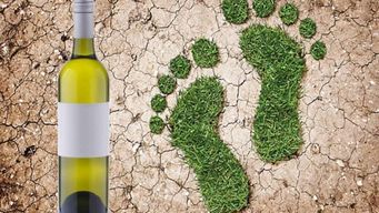 6 tendências que impactam o mundo dos vinhos
