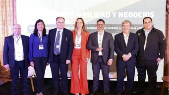 Sustainability Insights