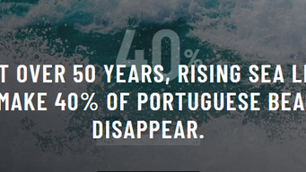 Universidade de Coimbra lança a campanha “Salvar o Futuro"