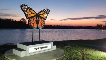 Mariposa monarca