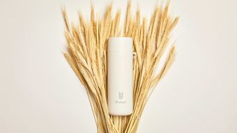 The Last Straw
