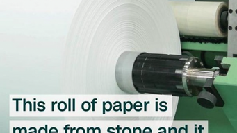 Tree & Water Free Paper