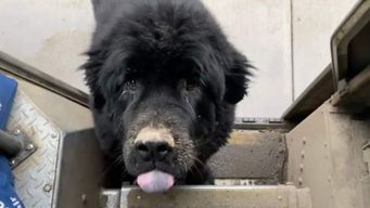 The UPS social community where everyone gets a treat!