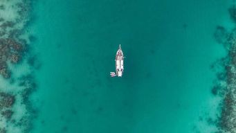 Using microbes to remove microplastics from the environment