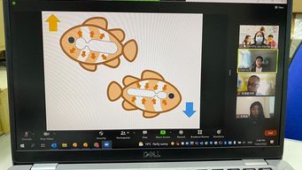 STEM Event Connected with Local Schools