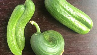 Remarkable Rejects saves imperfect food and delivers them to your doorstep