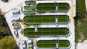 A radical, carbon negative project in Turkey is turning algae into bio-jet fuel