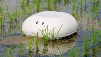 This Japanese “Duck” robot replaces pesticides in rice fields