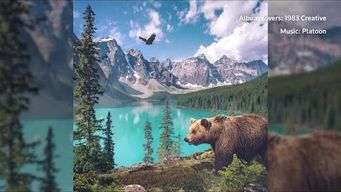 Natural sounds from across seven continents celebrate Earth Day