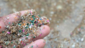 Faster and cheaper way to check for microplastics in Hong Kong drinking water unveiled by Education University