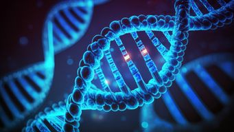 Researchers Bend DNA Strands with Light, Revealing a New Way to Study the Genome
