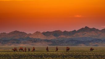 Mongolian herders fear a new coal highway to China