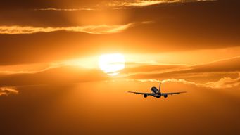 Food Waste to Flight: Scientists Make Sustainable Aviation Fuel A Reality