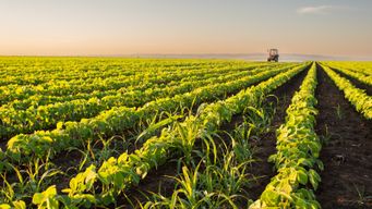 Ecological Agriculture: A Strategic Drive in the Era of Green Growth