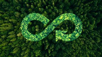 Understanding the Circular Economy