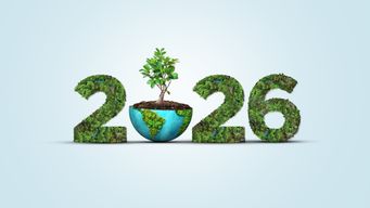 Small Resolutions, Lasting Impact: Choosing Sustainable Living This Year