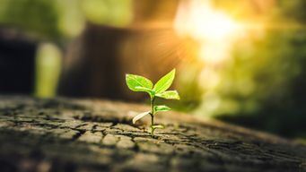 Looking Back at 2025: The Stories That Gave Us Hope