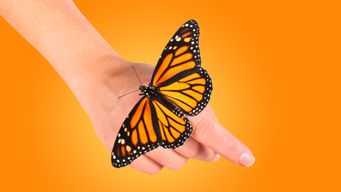 Intentional Progress