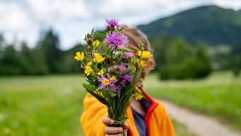 Small Acts, Big Impact: Simple Ways to Make a Difference Every Day