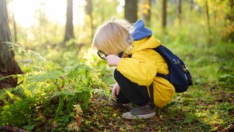 Why Outdoor Learning Matters More Than Ever