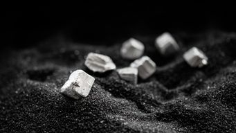 Fungi mining and giant waste piles: How to get rare earths without mining rock